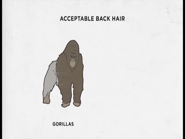 Guy Code: Sneak Peek