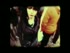 Ninet Tayeb 'I C U'