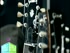 Green Day 'Oh Love'