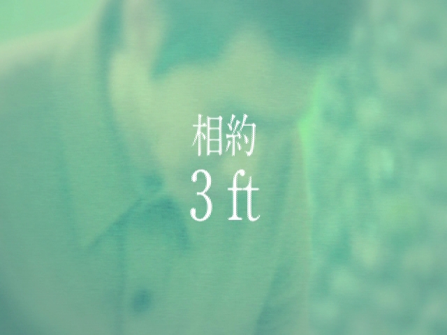 Bu Cheng Shou