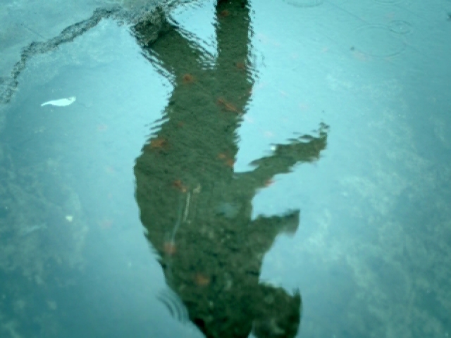 Let It Go