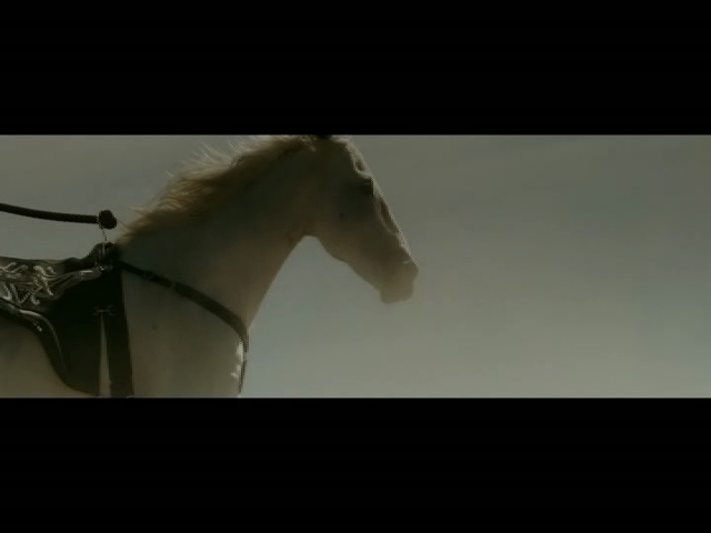 Only The Horses