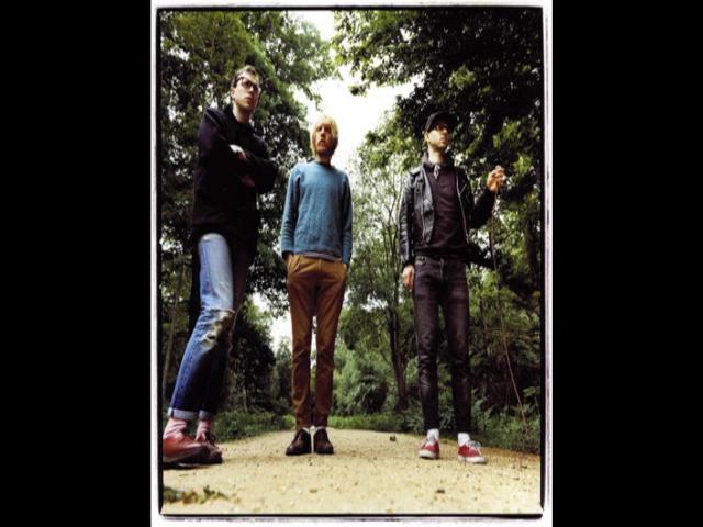 Bones