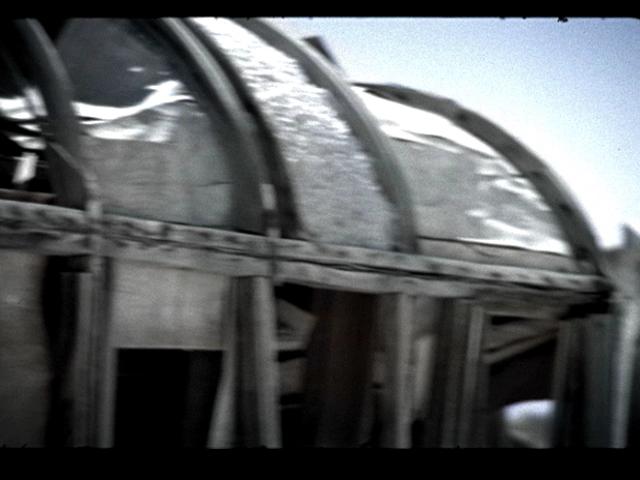 Elephants [Scenes From the Vid