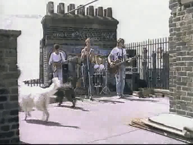 Voilà Les Anges