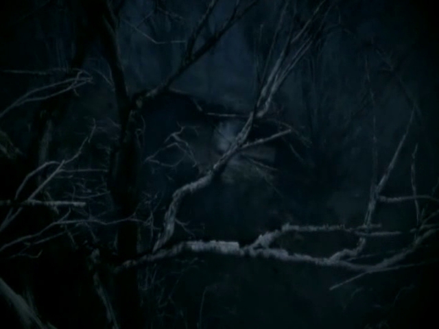 Coldest Winter