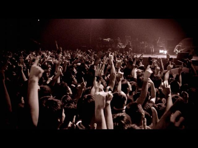 Welcome To Paradise (Live from Awesome As F**k DVD) [Video]